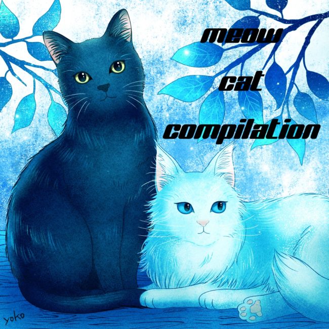 猫コンピ「Meow Cat Compilation」リリースしました